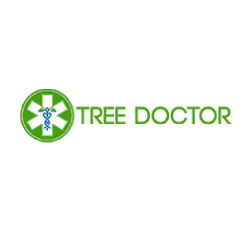 Tree Doctor