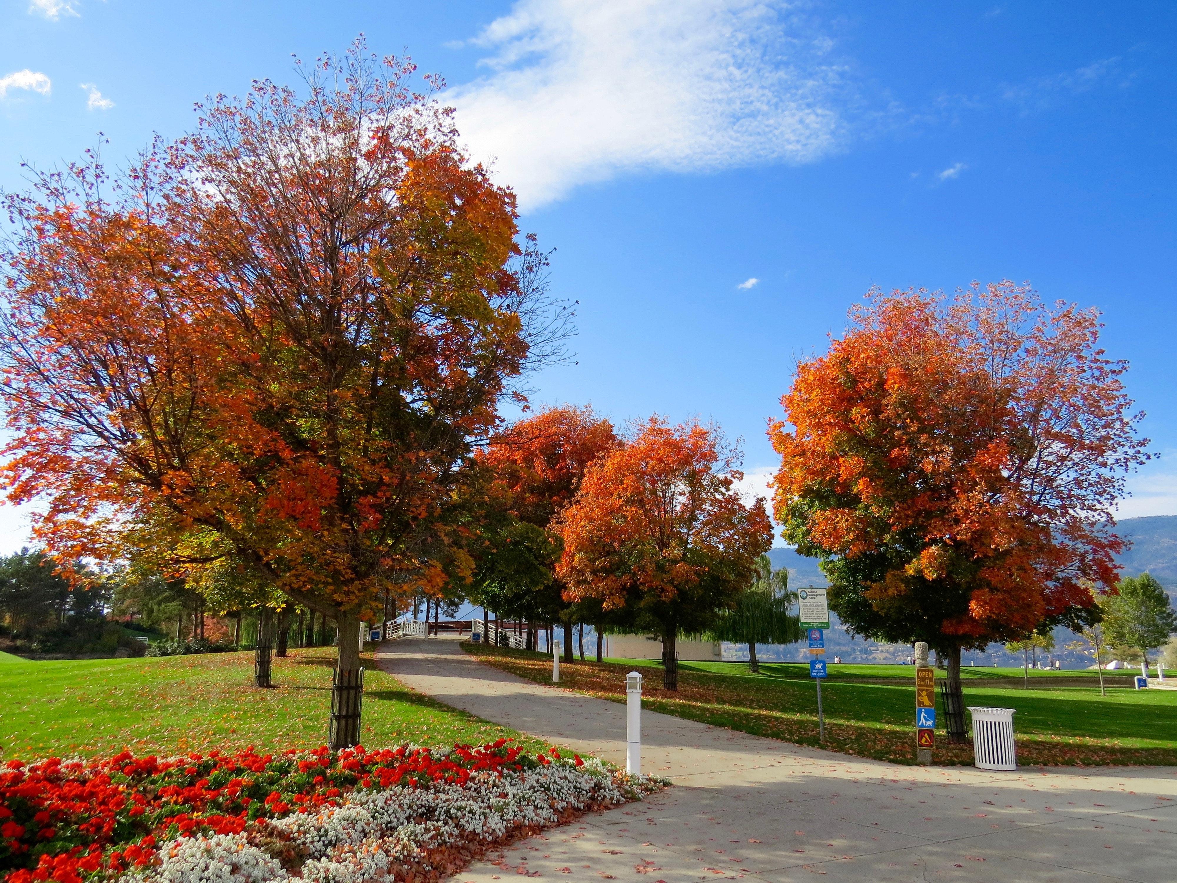 Coeur D'Alene Landscapers