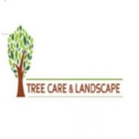 Tree Care Services & Landscape