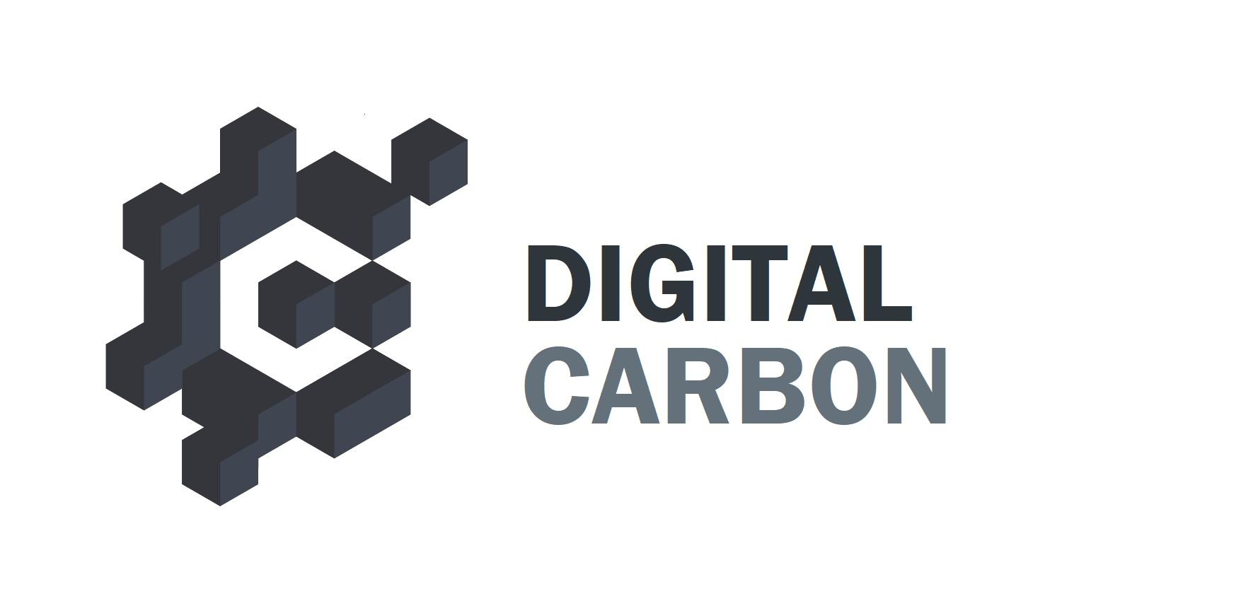 Digital Carbon