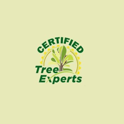 Certified Tree Experts