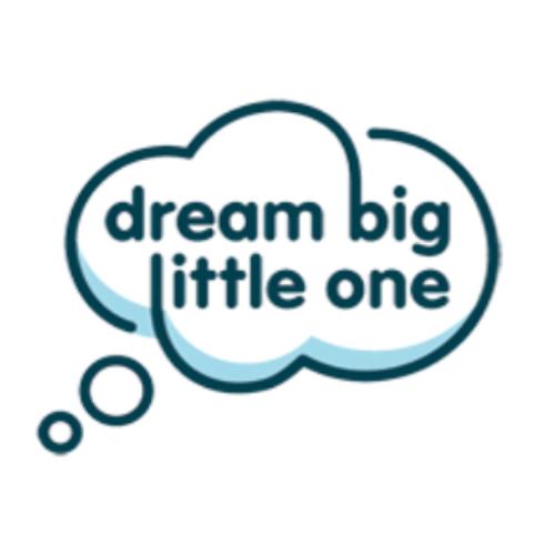 Dream Big Little One Nursery