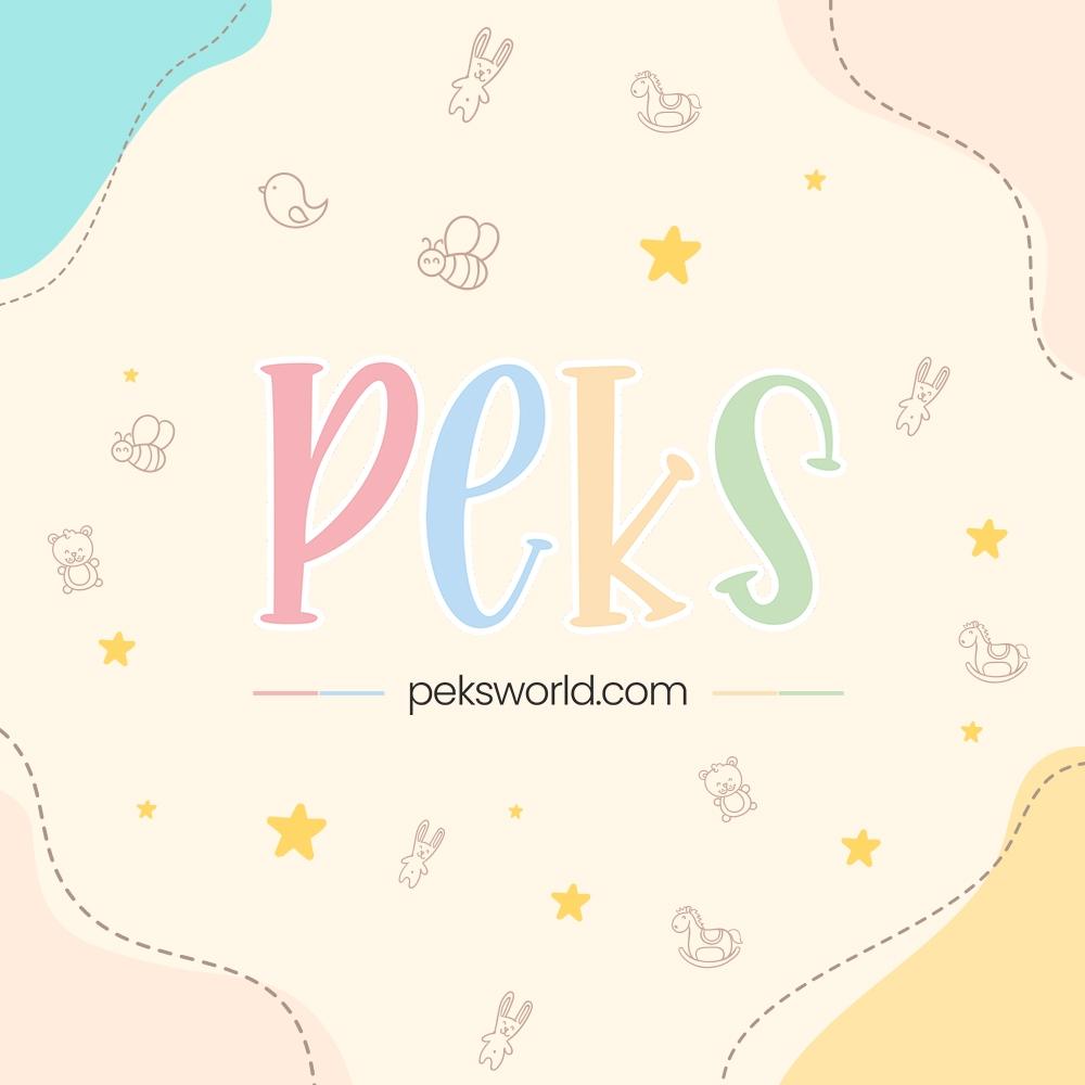 PEKS World School 