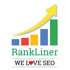 SEO Company in Ludhiana - Rankliner