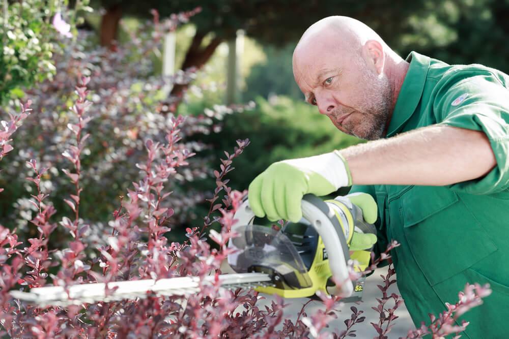 Rotherham Hedge Trimming