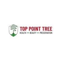 Top Point Tree 