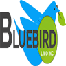 bluebird-limo-inc