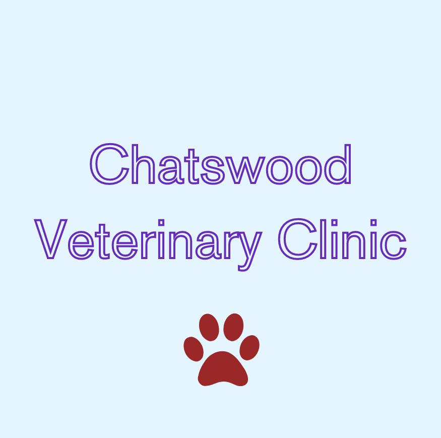 chatswoodvet