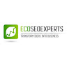 ecoseoexperts-india